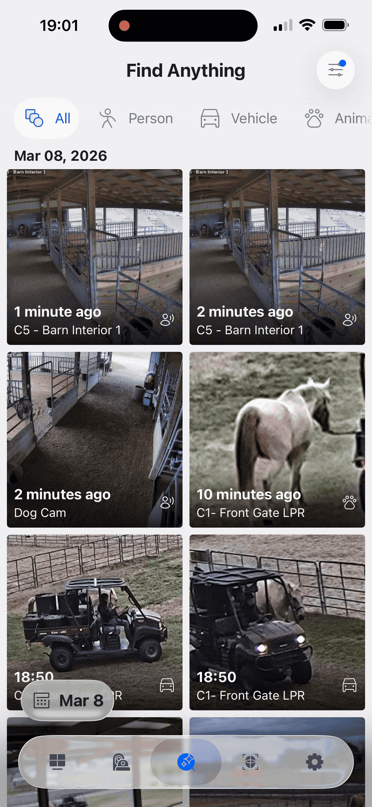 Vehicle Type and Color, People Animal Detection