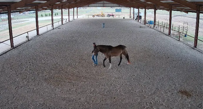 Equestrian Arena with CyberC2 Cameras and Wi-Fi